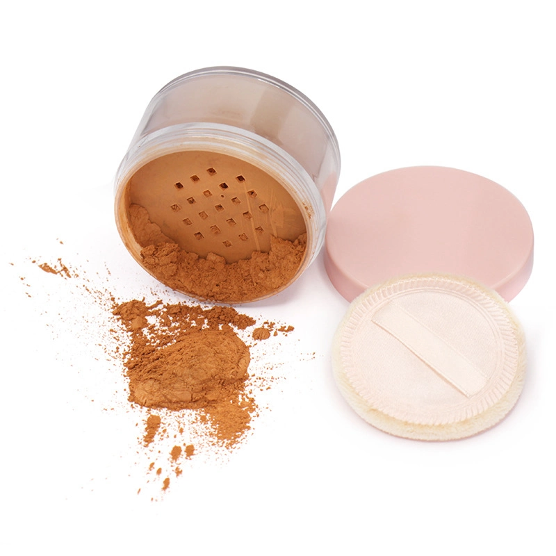 Setting Loose Powder Professional Powder Foundation Translucent Light Color Cosmetics Camouflage Concealer Private Label/Wholesale/Supplier