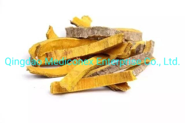 Scutellaria Baicalensis (root) Prepared Traditional Chinese Herbal Medicine Fever Virus Infection Inflammation