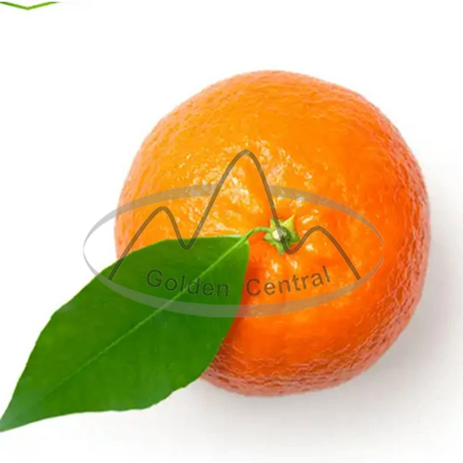 China 2023 Nuevo cítricos frescos deliciosos mayorista naranja jugosa.