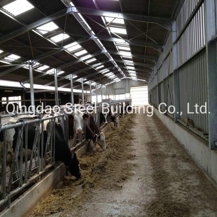 Low Cost Livestock Equipment Prefab/Prefabricated Gavanized Steel Structure Cow House