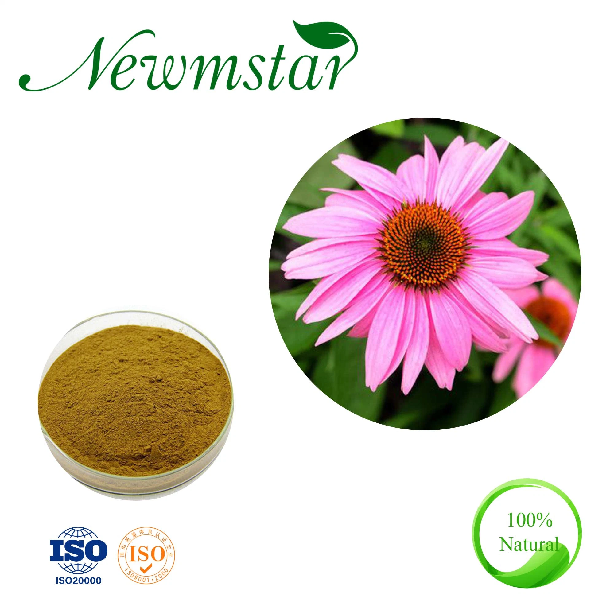 Echinacea Purpurea Chicoric Acid Echinacea Milk Thistle Silymarin Artichoke Leaf Cynarin Extract Powder