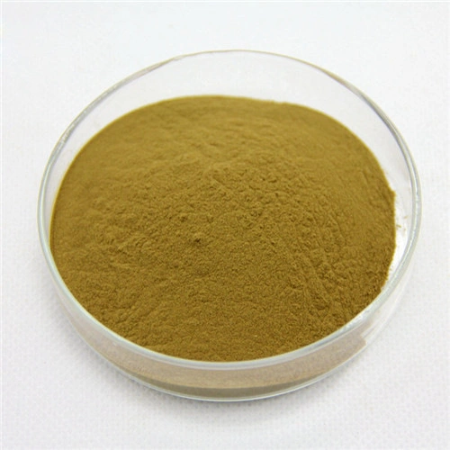 Chinese Traditional Herb Thyme Extract