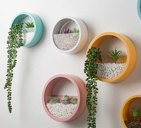 2023 New Style Factory Direct Wall Hanging Pot Wall Water Parede suspensa de plantas verde Culture