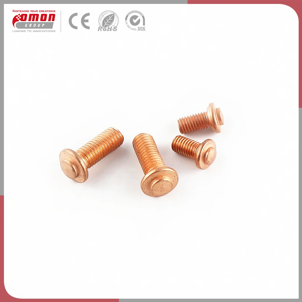 Common Round Head Metal Moulding Nuts Anchor Bolts