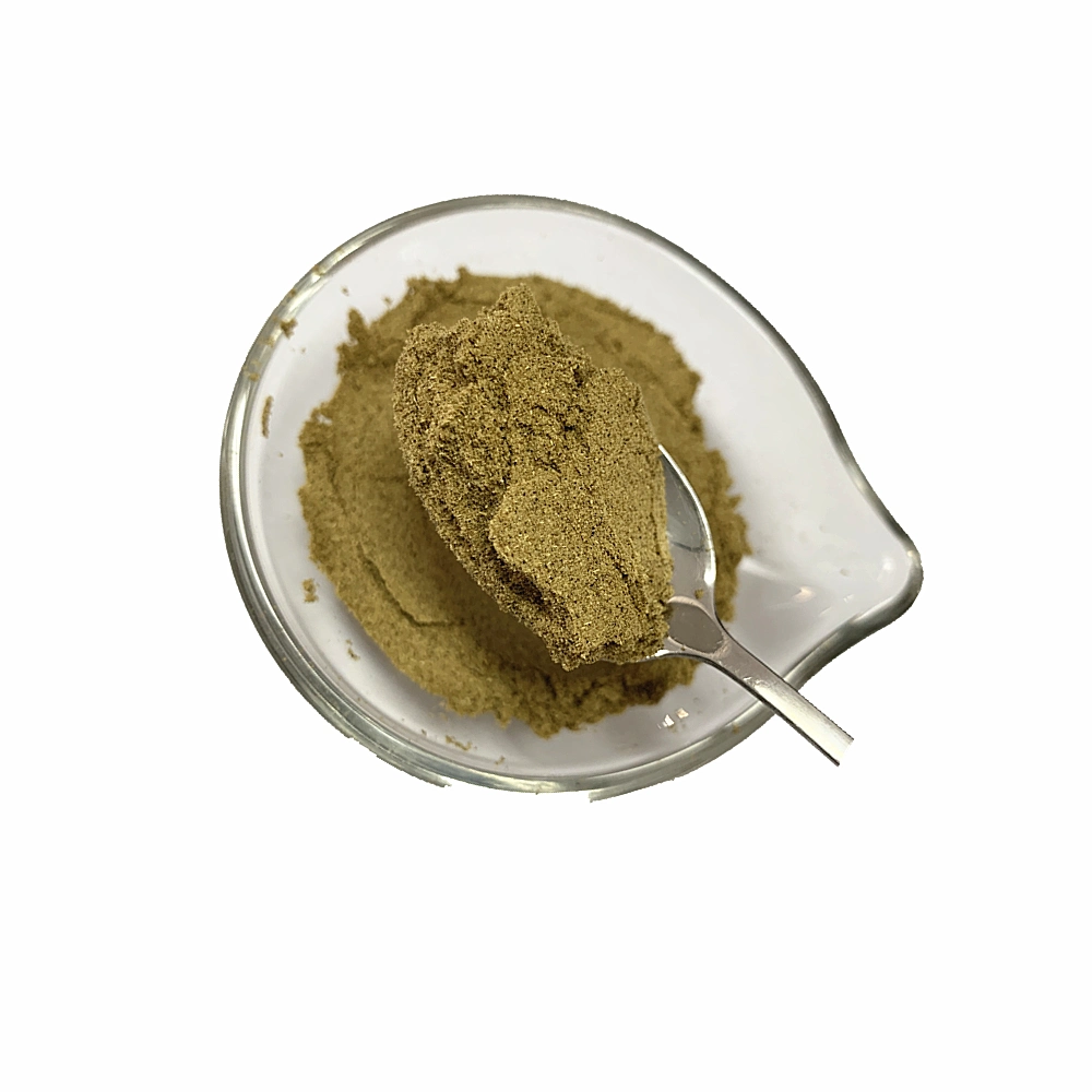 Black Cumin Extract Powder Cumin Seeds Powder