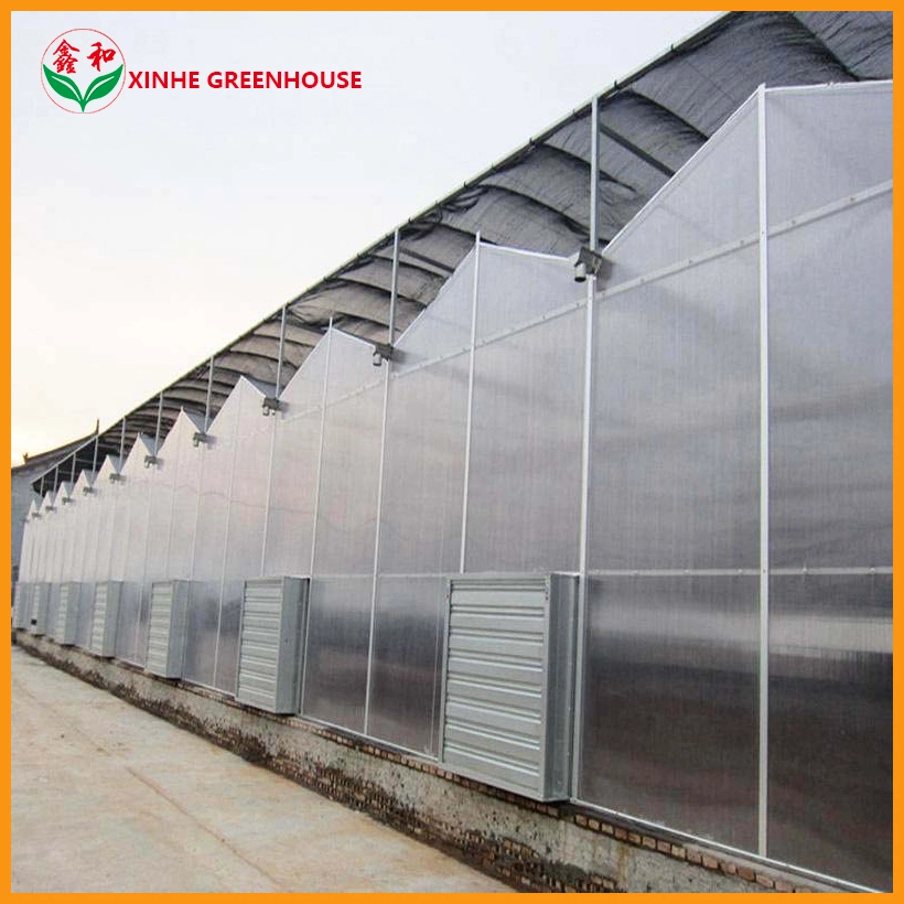 Growing Tunnel Green Polycarbonate Sheet Multispan House Greenhouse for Vegetables