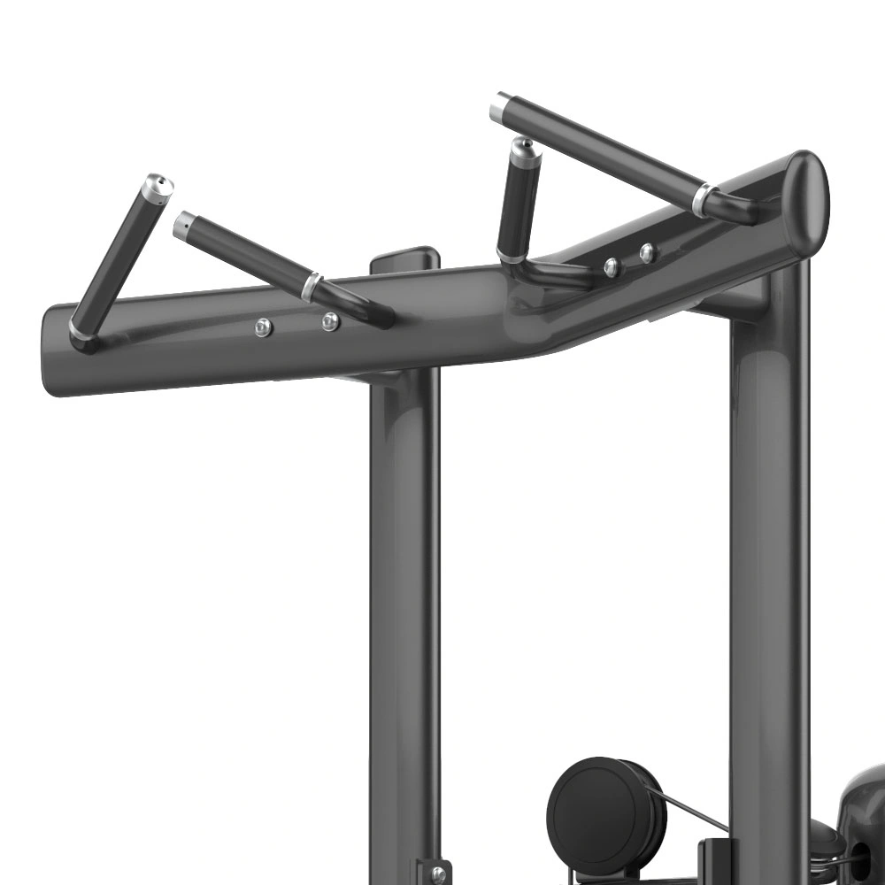 La fuerza Gimnasio Chin/DIP Assist (M7PRO-1010)