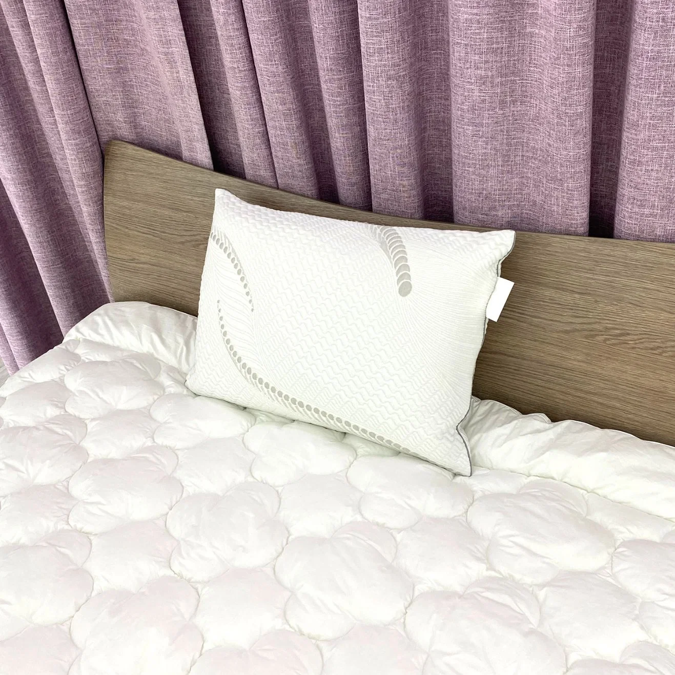 Factory Price Plain Bedding 100% Pes Fiber Shredded Latex Pillow with Zipper