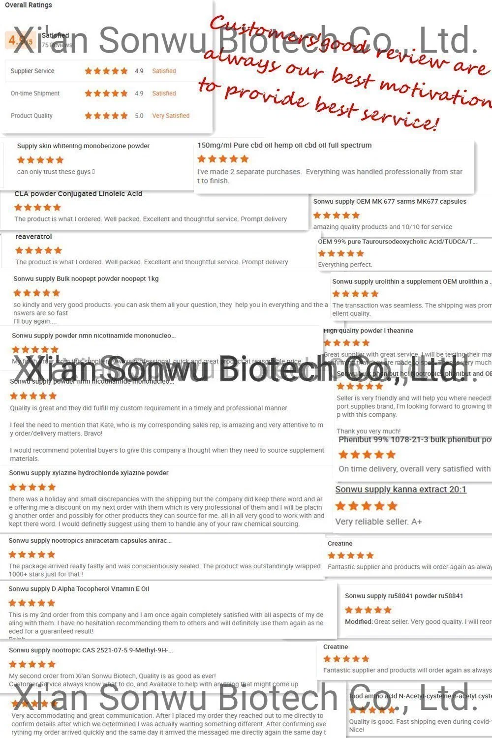 Sonwu CAS 110958-19-5 de Nootropics Fasoracetam