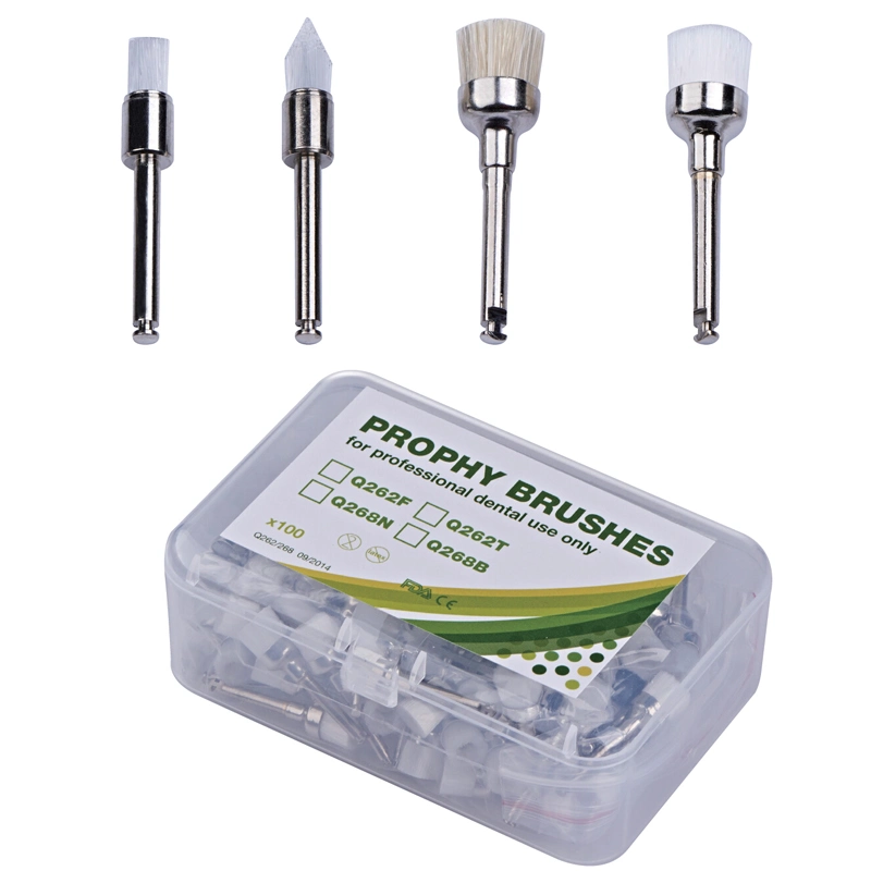 Kunststoff-Rad Polierset Gummi Dental Prophy Pinsel Kit