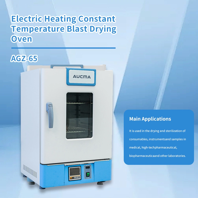Laboratory Baking/300 Degree High Temperature Electric Blast Drying