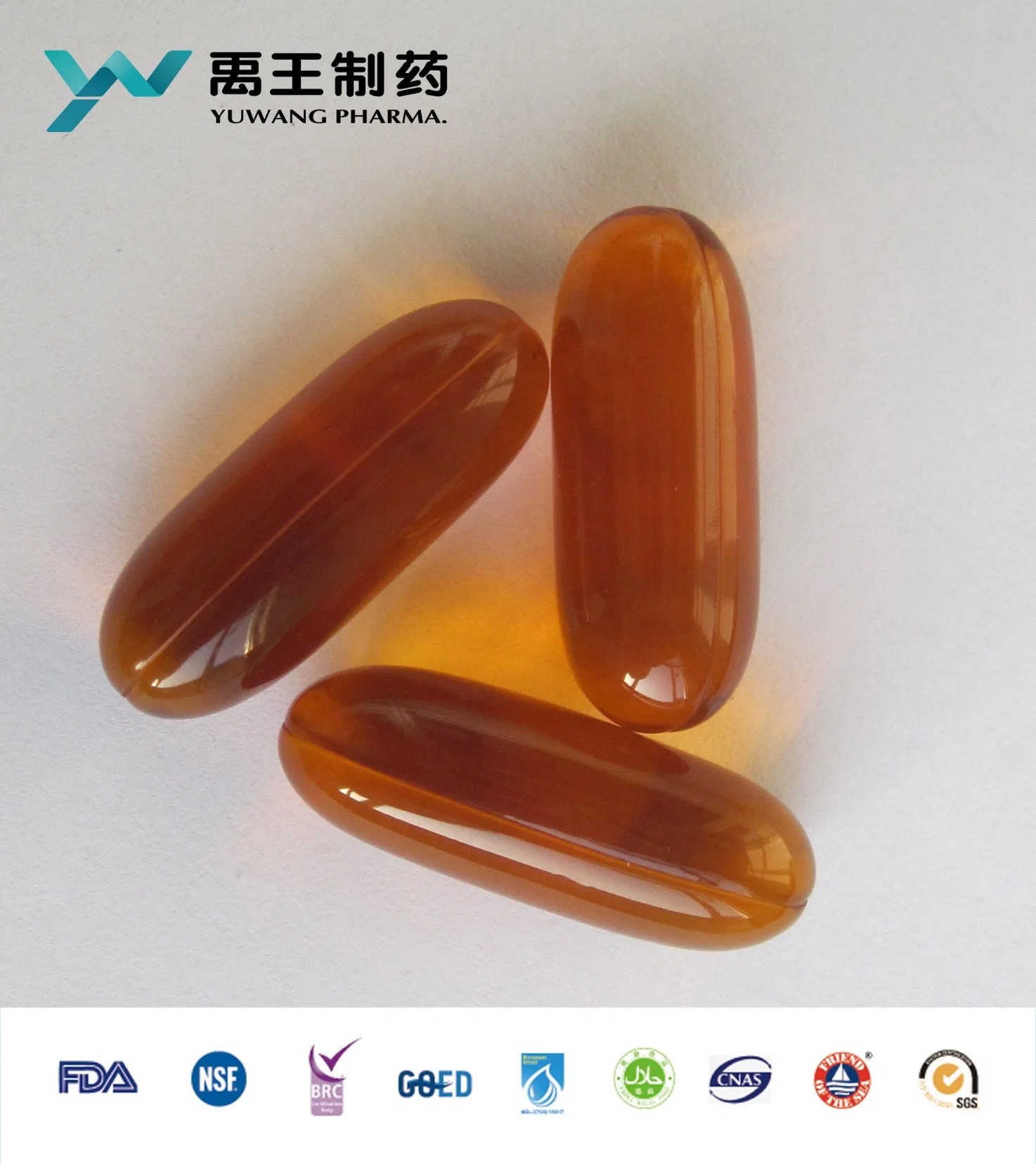 Fish Oil Omega 3 EPA DHA Softgel 1200mg