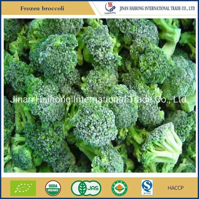 IQF Frozen Broccoli From China Supplier