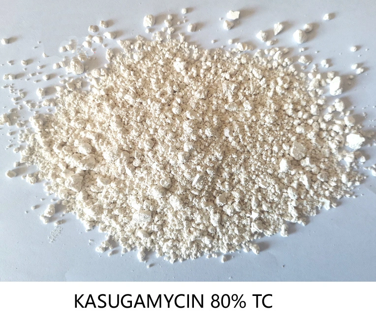 New Fungicide Kasugamycin Organic Natural Selective Fruits Trees Killer Price 2% SL 10% Wp 6% Ew Kasugamycin