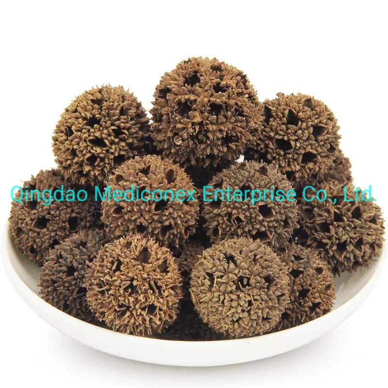 مادة خام بروبلكا (Pooploca Sepium Root Bark Herb) من نوع (Peroploca) معدة من قبل الصينية التقليدية طب الأعشاب الأعشاب النباتية طرد الرطوبة