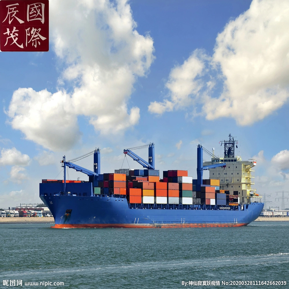 FCL/LCL Cargo Ship Service Shipping Agent Sea Freight From Nanjing,Fuzhou,Nanning in China to  Ukraine,Russia, Poland,Magyarorsz&aacute;g,Romania, Serbia,Norway