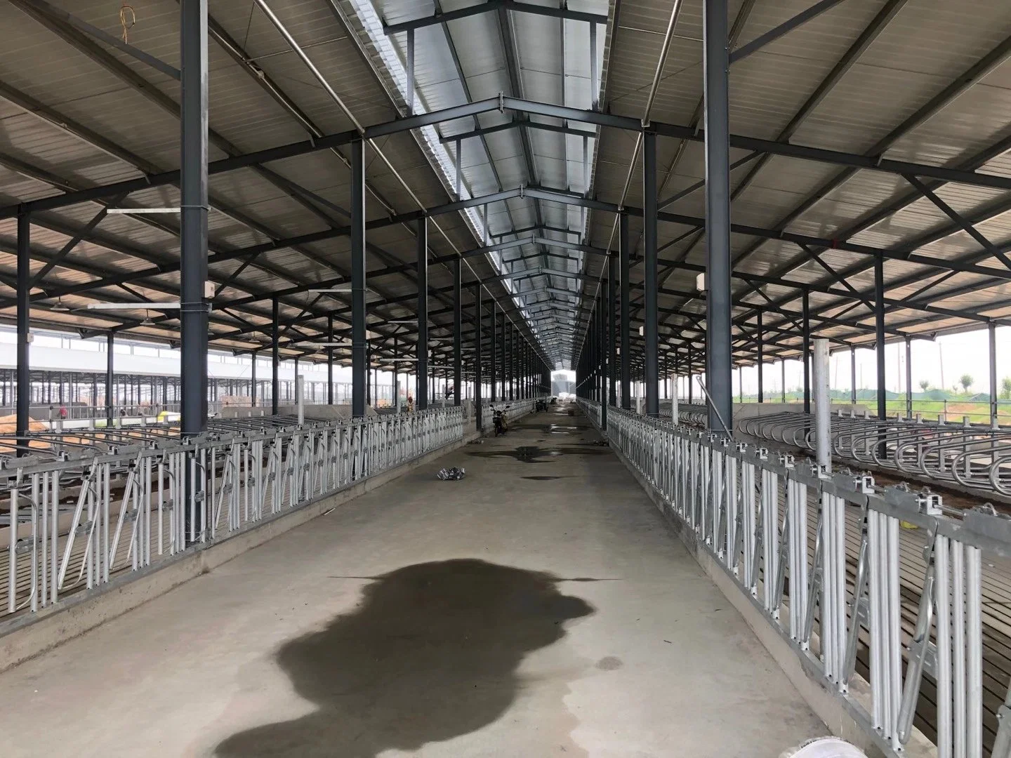 China Construcción de acero Prelaboratorio Industria almacén sistema de alimentación automático de conjunto completo Granja Casa de aves de corral establo Chicken House