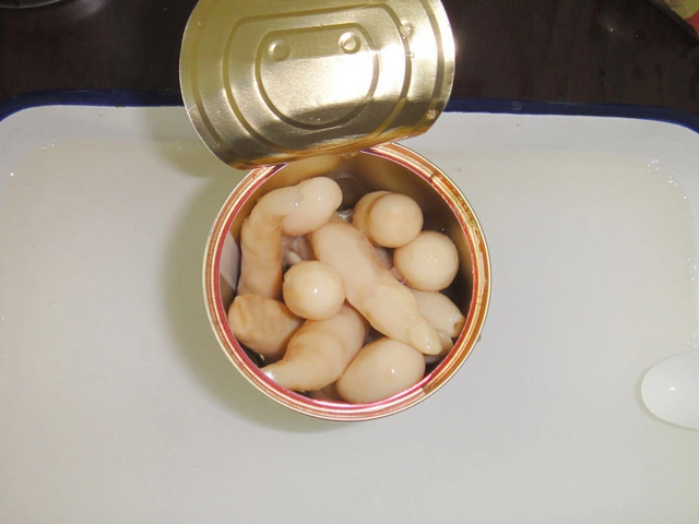 Canned Fresh Asparagus Mushroom 400g in Eol Shipping Fast