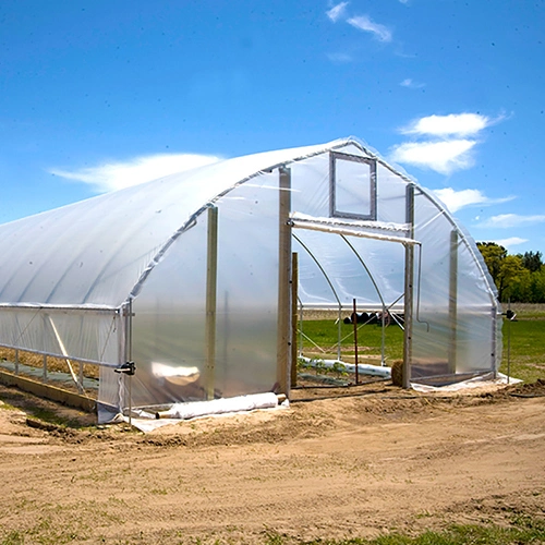 2023 New Economic Single Span Poly Tunnel Film Greenhouse Agriculture Arch Type Po/PE Film Green Houses Hydroponics System Tunnel Greenhouses for Vegetables