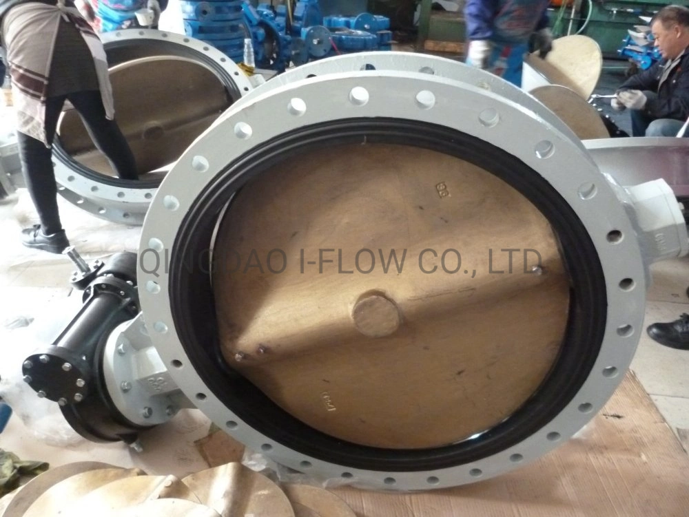 Worm Gear Operated Rubber Seal U Flange Type Butterfly Valve for Sea Water