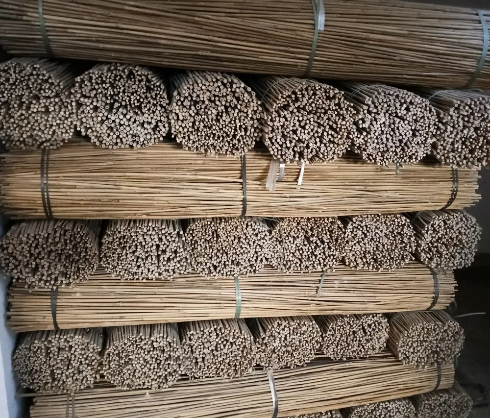 Bâton de soutien d'usine en bambou / en bambou pour l'agriculture