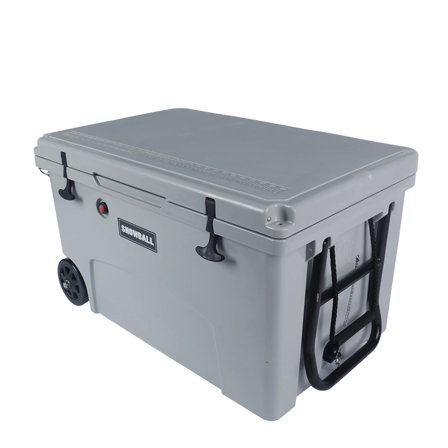 Fashion Cheap OEM Large Food Cooler Box for Home Picnic