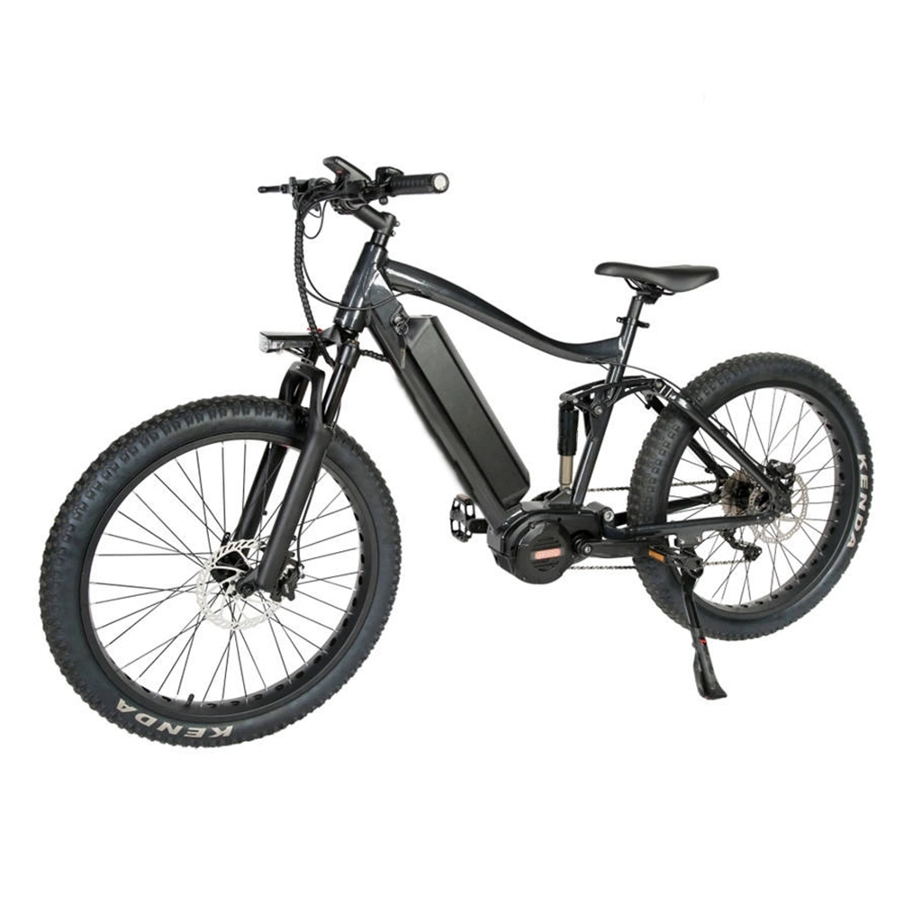 Entrega a domicilio entrega CE 500W 48V Smart Foldable Leisure E Bike 55km/H Fast Speed 45km Long Way City Electric Bicicleta