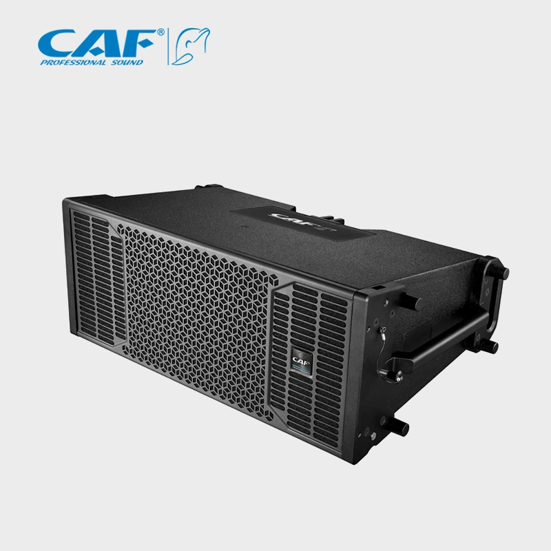 Caixa de alto-falante Alpha-F10 PRO Double 10 polegadas PRO Sound Line Array