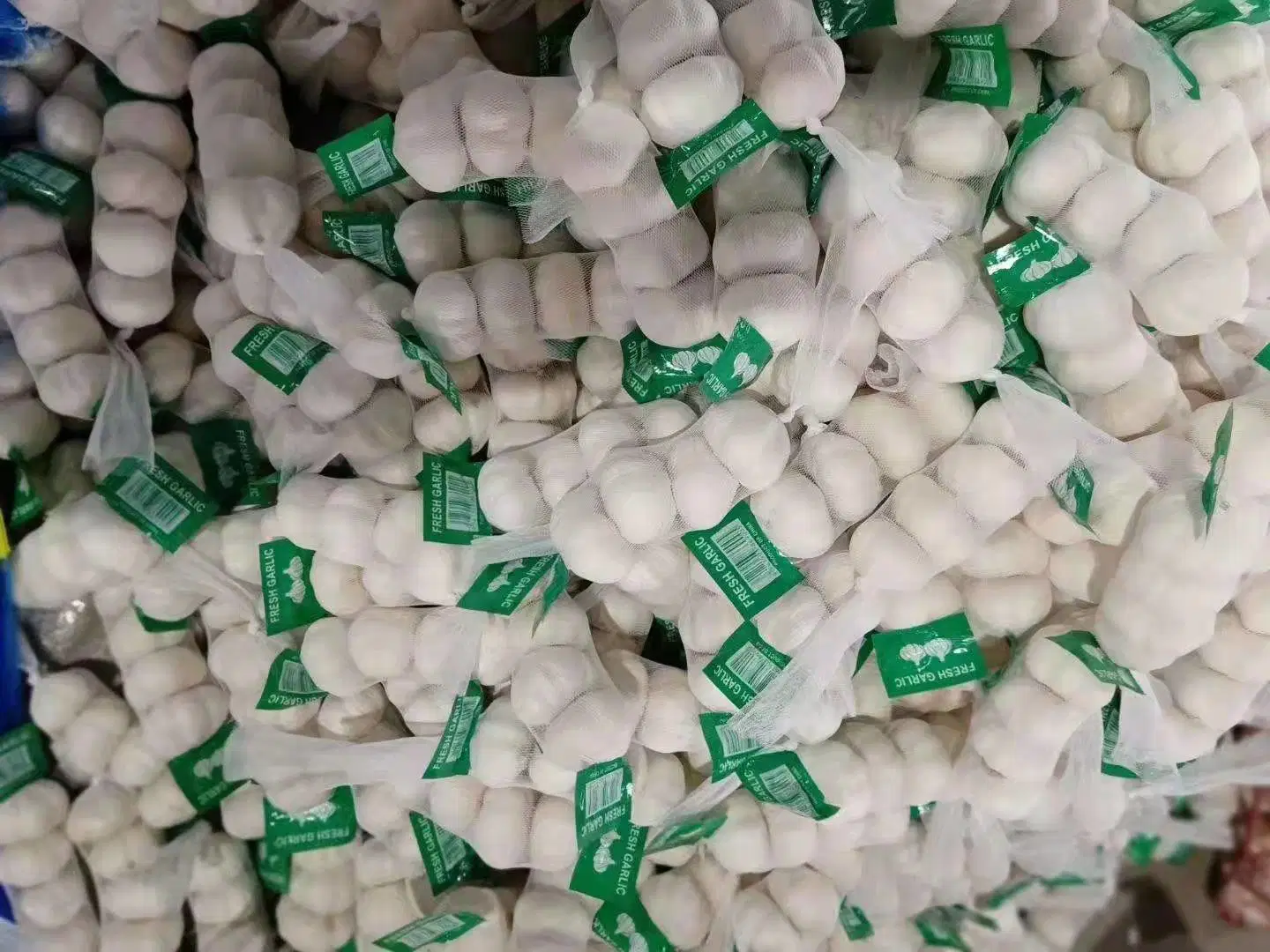 Chinese Normal Pure White Garlic with Bag/ Carton Packing