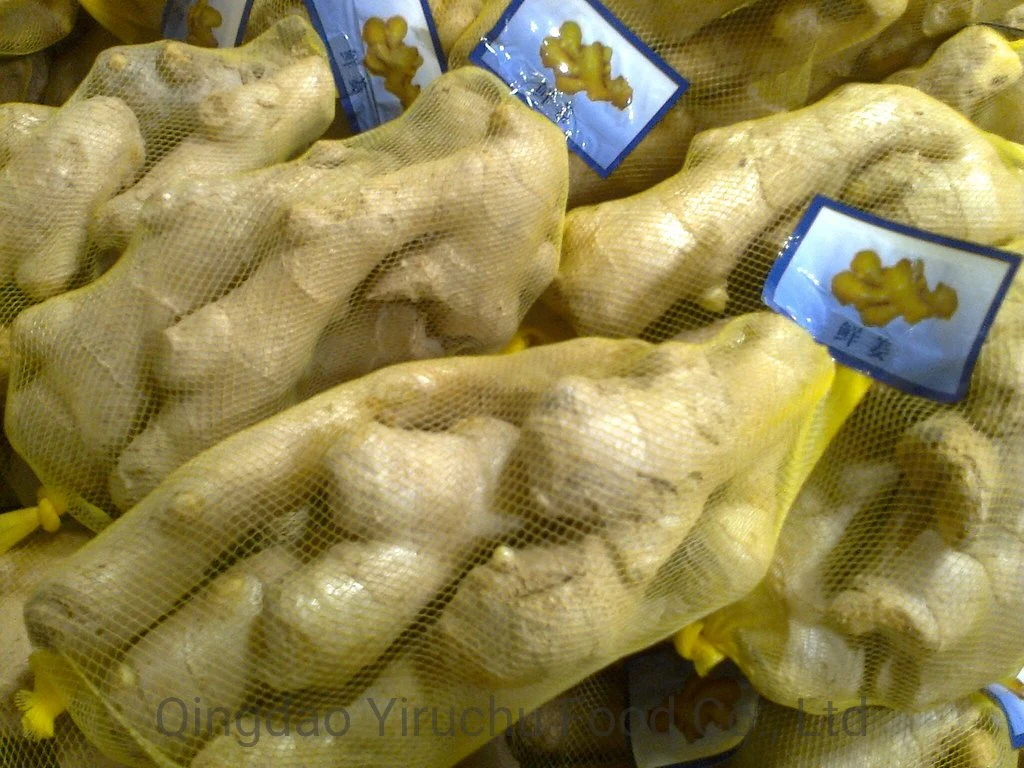 Strictly Selected High quality/High cost performance  Ginger Factory Price Shandong Dry Ginger From China