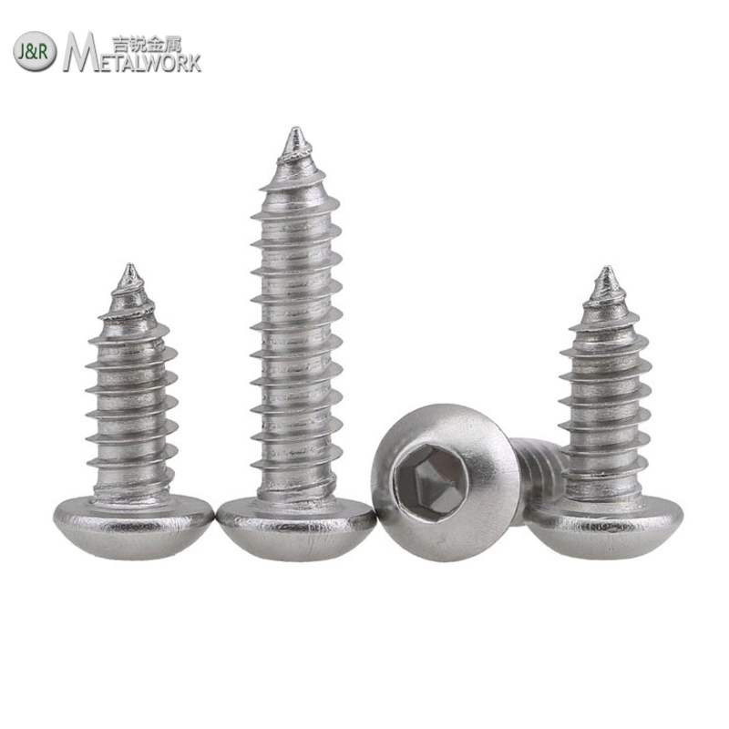 Stainless Steel Self Tapping Screw