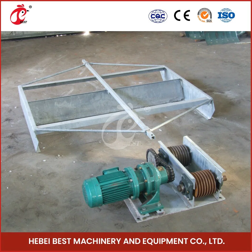 Bestchickencage Manure Removal System China Scraper Type Chicken Manure Removal Equipment Supplier Customized Easy Installation Manure Removal System for a Farm