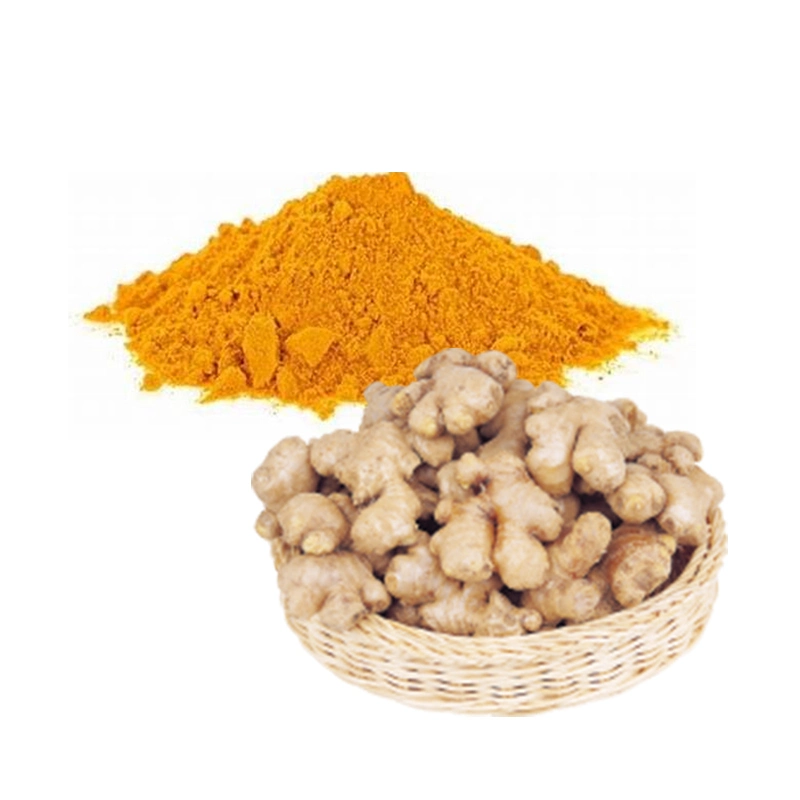 Best Quality and Competitives Price Ginger Extract Turmeric Powder Natural Colorants