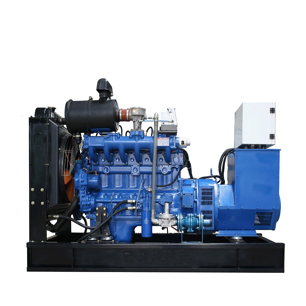 Ce ISO CHP Generator Natural Gas/Biogas/LPG/Biomass Farm Use