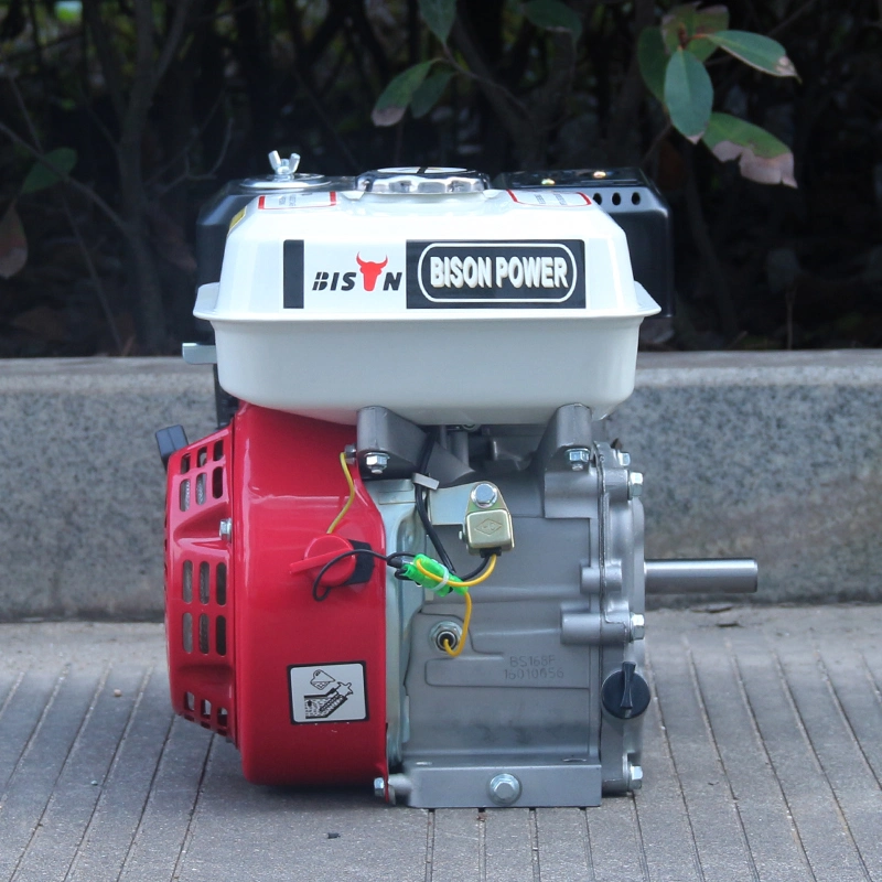 Bison (China) Best Price BS168f-1 196cc Air-Cooled Small Portable 168f-1 Ohv 6.5HP Gasoline Engine