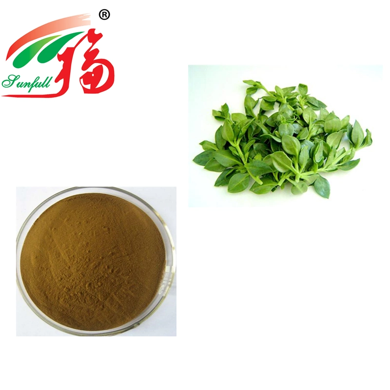 High quality/High cost performance  Andrographis Paniculata Extract for Animal Food Feed