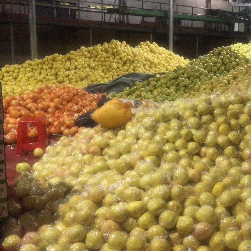 Una buena calidad 2020 Nueva cosecha de miel pomelo fresco de carne roja