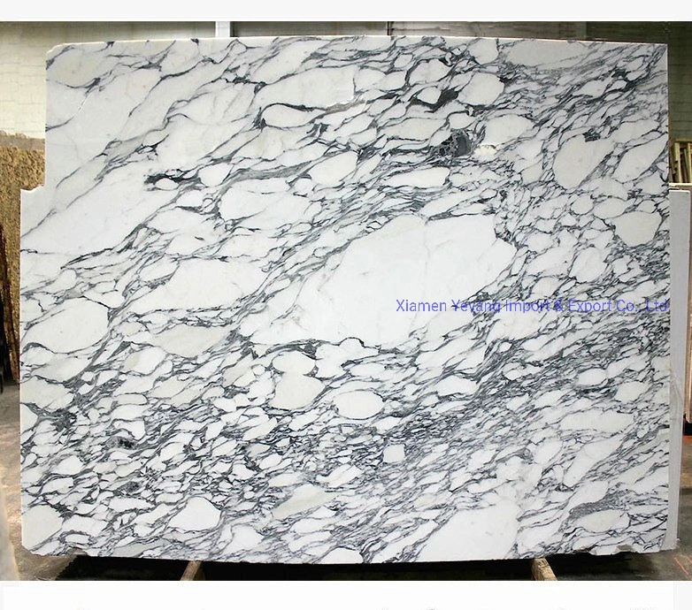 White Marble Slab/Countertop/Vanitys/Bartops for Kitchen/Backsplash/Bathroom for Hotel Project Wholesale/Supplier