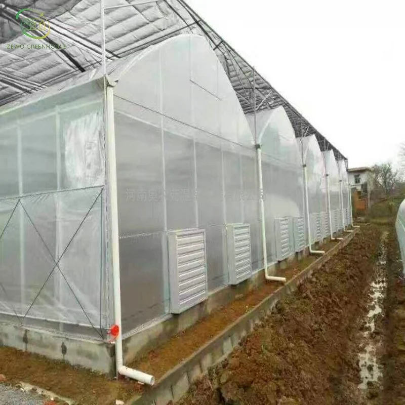 High quality/High cost performance agriculture Greenhouse Covering by 200 Micron Plastic Film