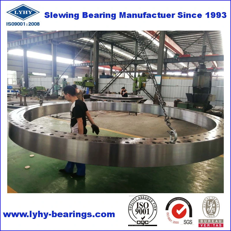 Slewing Ring Bearing with Internal Gear for Bridge Cranes 9I-1z40-1385-0301