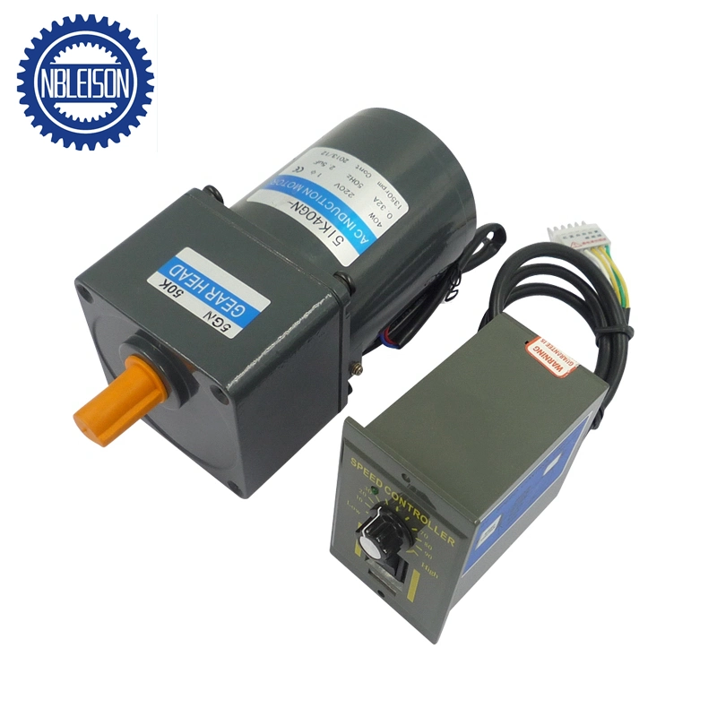 High Torque Low Rpm AC Electric Speed Control Motor with Gearbox