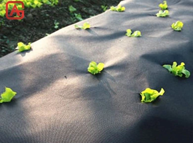 High quality/High cost performance  17g PP Non-Woven Fabric Weed Control