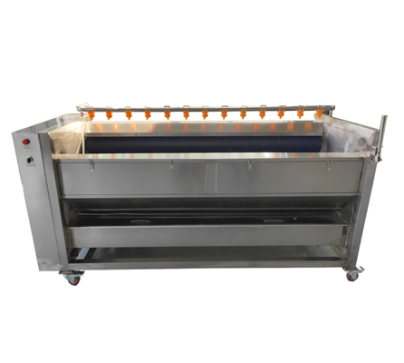 Brush Roller Fruit Vegetable Washing Machine with Water Spraying