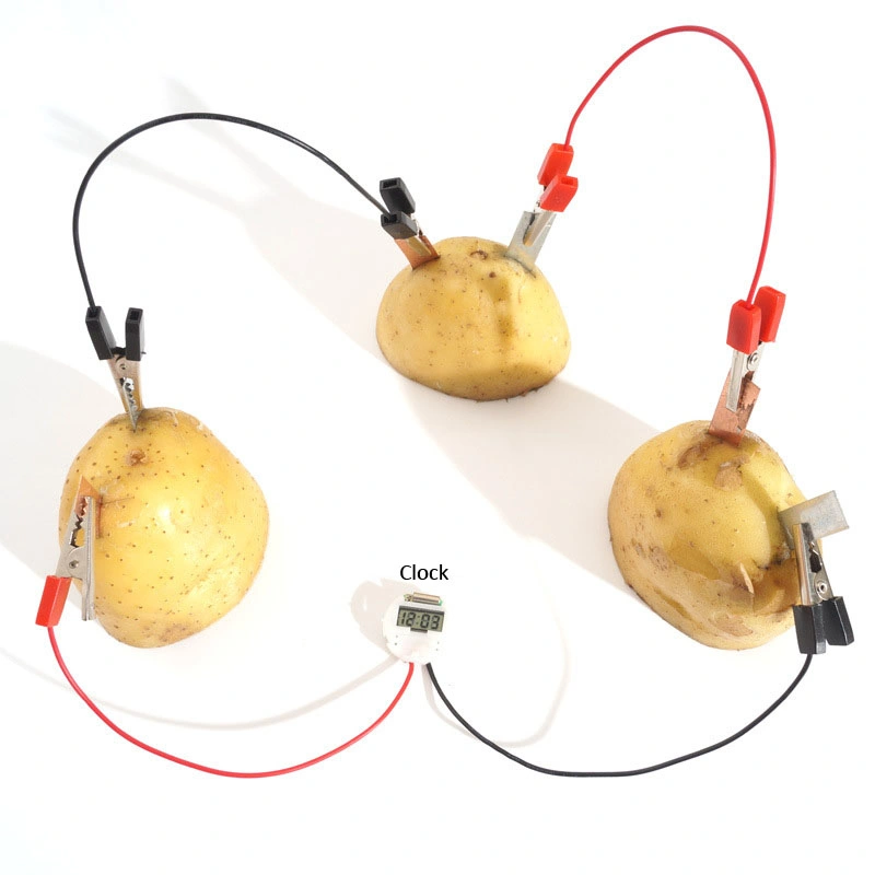 DIY Fruit Powered Generation Kits Science Educational Toy for Student Learning Resources.