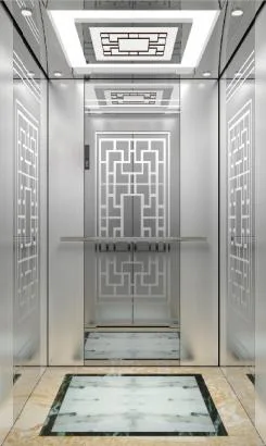 Various Design Passenger Elevator/ Passenger Lift