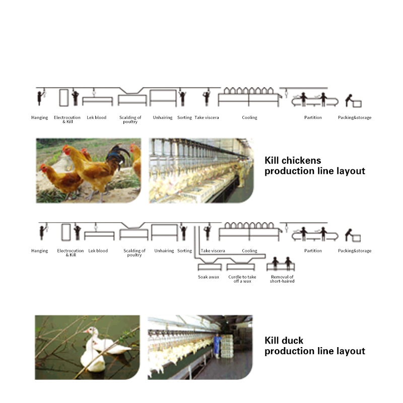 Automatic Poultry Slaughtering House Processing Line Equipment