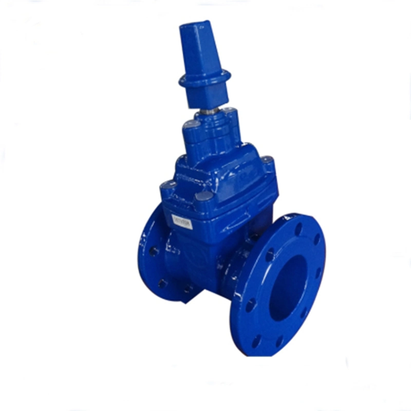 DIN Standard Cast Iron/Ductile Iron Flange Type Gate Valve with ISO Certificate