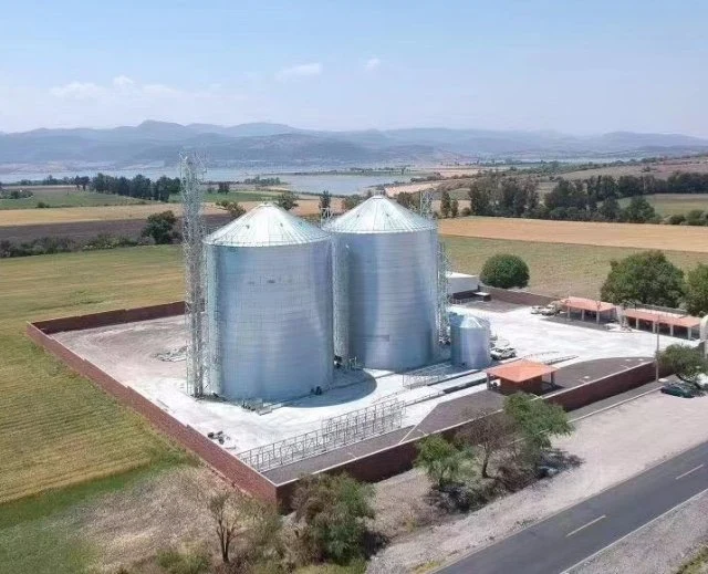 1000 2000 5000t Assembly Galvanized Corn Maize Storage Steel Silo for Sales