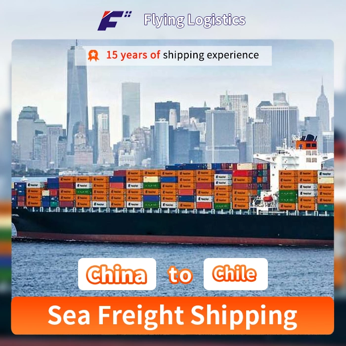 China Shipping Agency Service Agent to Chile Asia LCL Logistics Service