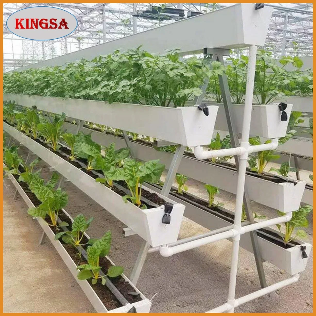 Agricultura Multi Span filme plástico crescem com efeito de estufa tenda Green House para Vegeatbles